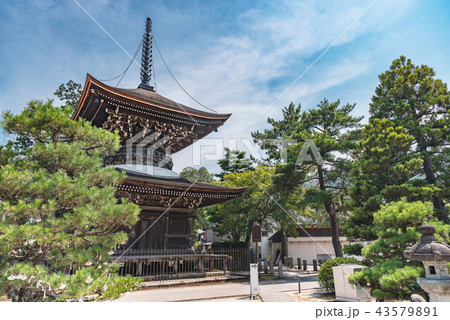 智恩寺の風景 智恩寺の風景 43579891