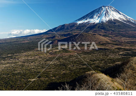 精進湖・パノラマ台から見る冬の富士山 精進湖・パノラマ台から見る冬の富士山 43580811