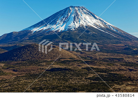 精進湖・パノラマ台から見る冬の富士山 43580814