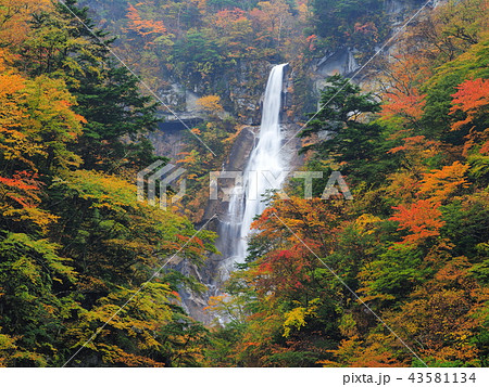 紅葉の北精進ヶ滝 紅葉の北精進ヶ滝 43581134