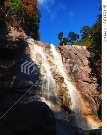 紅葉の田立の滝 43581240