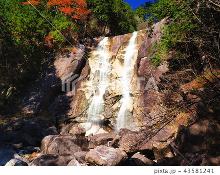 紅葉の田立の滝 43581241