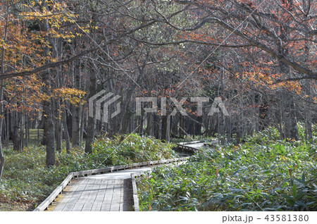 木道 木道 43581380