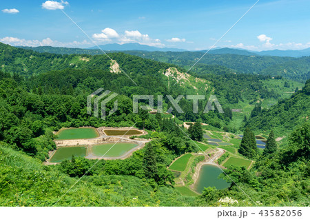 【新潟県長岡】山古志の棚田や棚池の夏は美しい緑の季節 【新潟県長岡】山古志の棚田や棚池の夏は美しい緑の季節 43582056