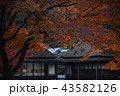 古民家と紅葉 43582126