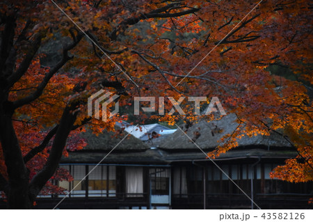 古民家と紅葉 古民家と紅葉 43582126