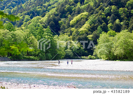上高地の川辺 上高地の川辺 43582189