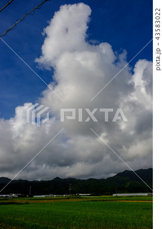 故郷　夏の終わり73 43583022