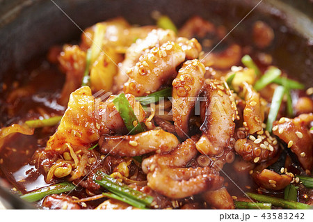 韓国料理 タコ ナクチポックム ナクチポックン 韓国料理 タコ ナクチポックム ナクチポックン 43583242