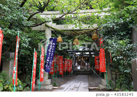 神社仏閣 神社仏閣 43583245
