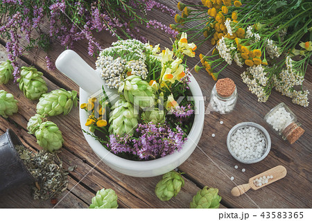 Mortar, healthy plants, homeopathic globules. 43583365