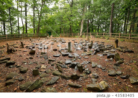 西崎山環状列石 43583405