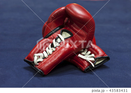 ボクシング ボクシンググローブ リング 43583431