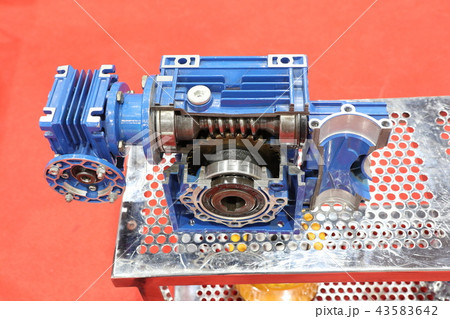 cross section of worm gear pump ; 43583642