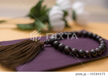 静物写真 43584375