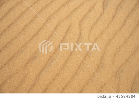 Sands dune background or texture 43584584
