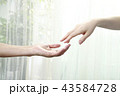 カップル 43584728