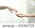 二人の手 43584729
