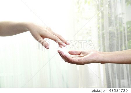 二人の手 43584729