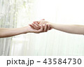 手を取り合う二人 43584730