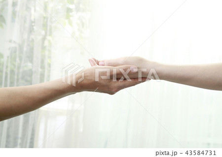 手を取り合う二人 43584731