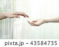 手を取り合う二人 43584735