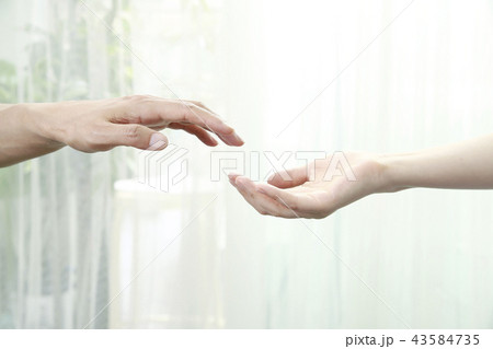 手を取り合う二人 43584735