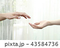 二人の手 43584736