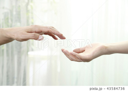 二人の手 43584736