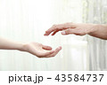 カップル 43584737