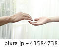手を取り合う二人男女 43584738