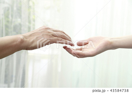 手を取り合う二人男女 43584738