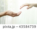 カップル 43584739