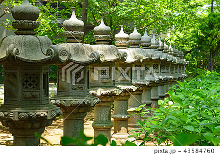 街風景　東京　杉並 43584760