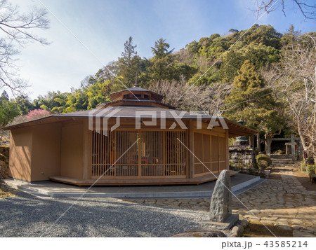 【伊豆】修禅寺奥の院の風景【護摩堂・早春】 【伊豆】修禅寺奥の院の風景【護摩堂・早春】 43585214