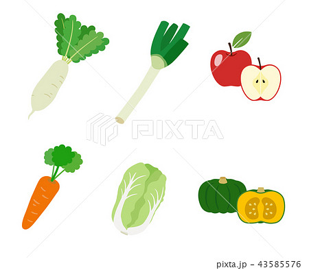 秋冬の野菜と果物 イラストのイラスト素材