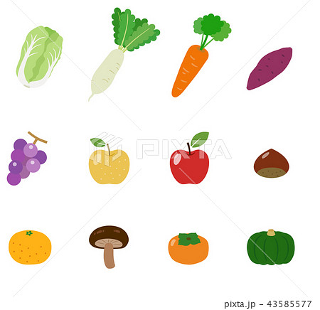 秋 冬の野菜と果物 イラストのイラスト素材