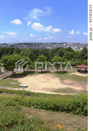 公園と市街地 公園と市街地 43585815