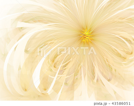 Gentle and soft fractal flower computer background 43586051