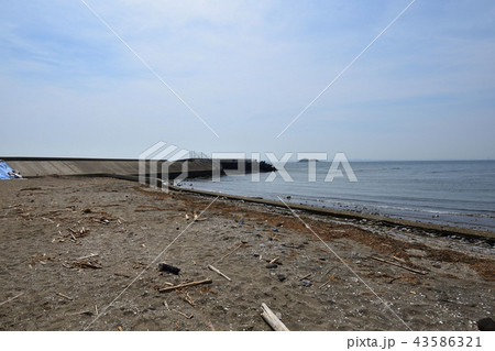 富津海岸 富津海岸 43586321
