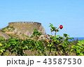 葦毛埼展望台 43587530