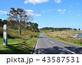 道 43587531