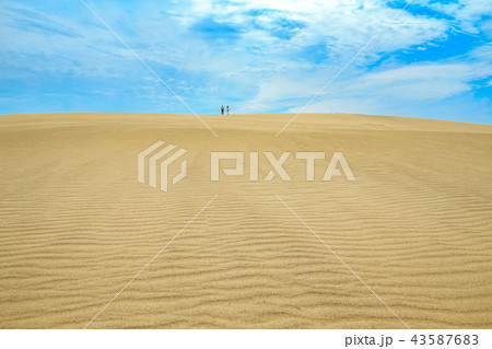 鳥取砂丘(風紋と青空) 鳥取砂丘(風紋と青空) 43587683