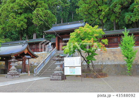 高山の桜山八幡宮 高山の桜山八幡宮 43588092