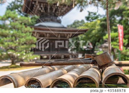 智恩寺境内風景 智恩寺境内風景 43588978