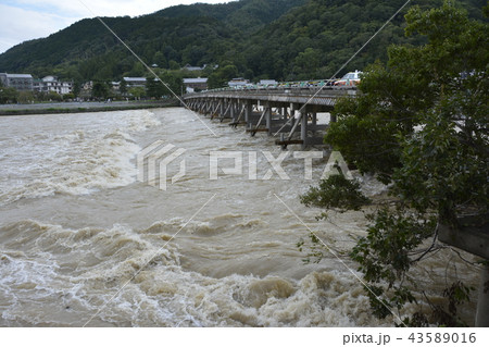 嵐山渡月橋_台風21号による欄干の倒壊 43589016