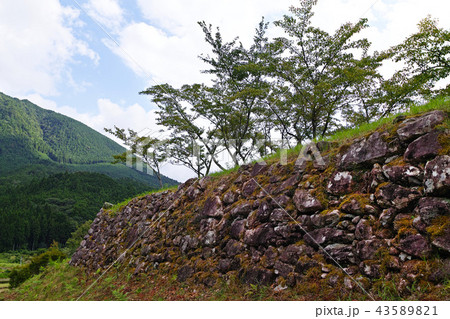 【国史跡・続日本100名城】赤木城(赤木城跡)石垣 【国史跡・続日本100名城】赤木城(赤木城跡)石垣 43589821