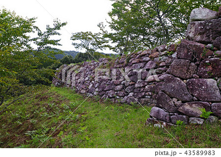 【国史跡・続日本100名城】赤木城（赤木城跡）主郭石垣（横矢掛） 43589983
