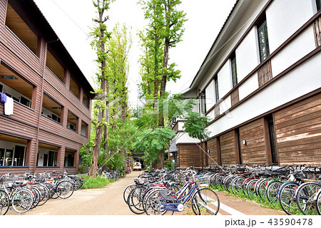 京都大学吉田寮 京都大学吉田キャンパス 京都大学吉田寮 京都大学吉田キャンパス 43590478