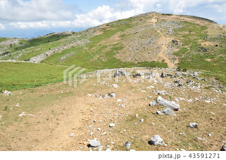 霊仙山 霊仙山 43591271